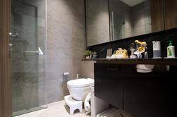 Daintree Residence (D21), Condominium #476797001